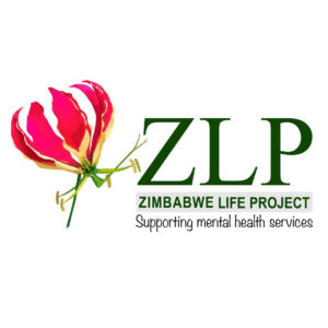 Zimbabwe-life-project-team-building-with-noahs-ark-team-building-services-300x300