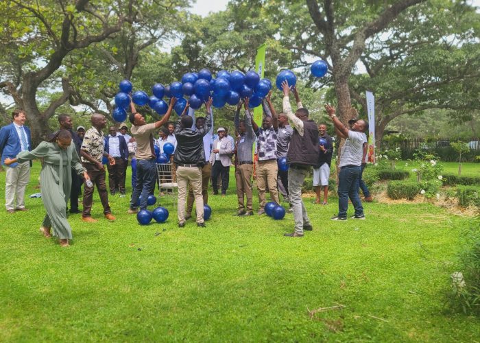 BEST TEAM BUILDING TEAMWORK TRAINERS FACILITATORS CONSULTANTS COACHES IN ZIMBABWE NOAH'S ARK 20250126_134351