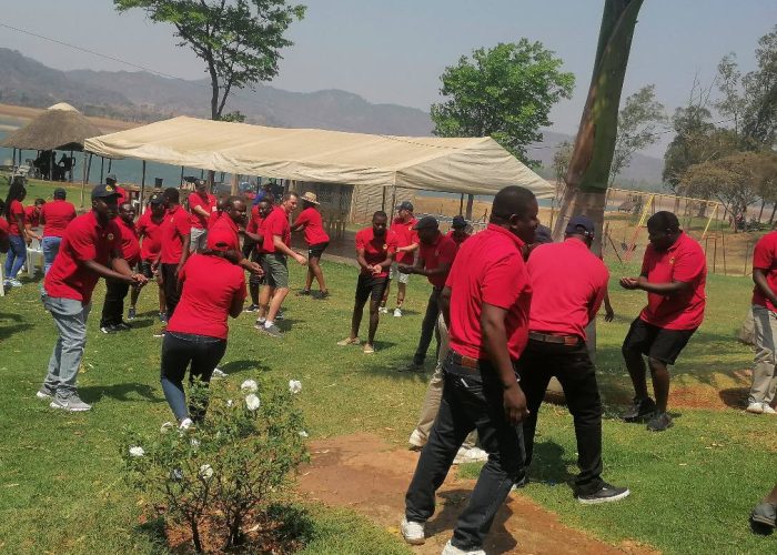 noahs-ark-team-building-2
